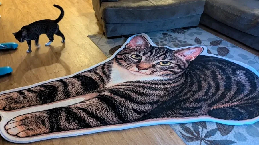 How Rainy the Cat Became a Custom 6Γ9 ft Rug | A TikTok Creator Story