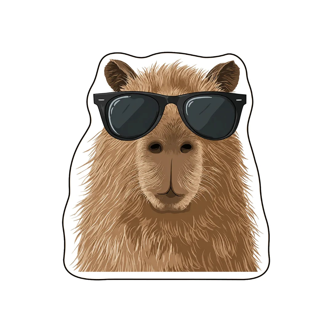 Irregular capybara rug patio balcony