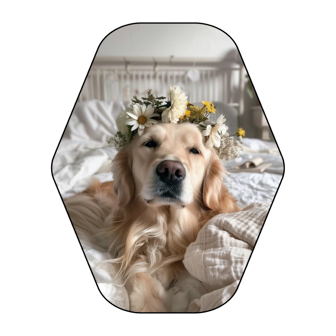 Irregular dog rug bedroom