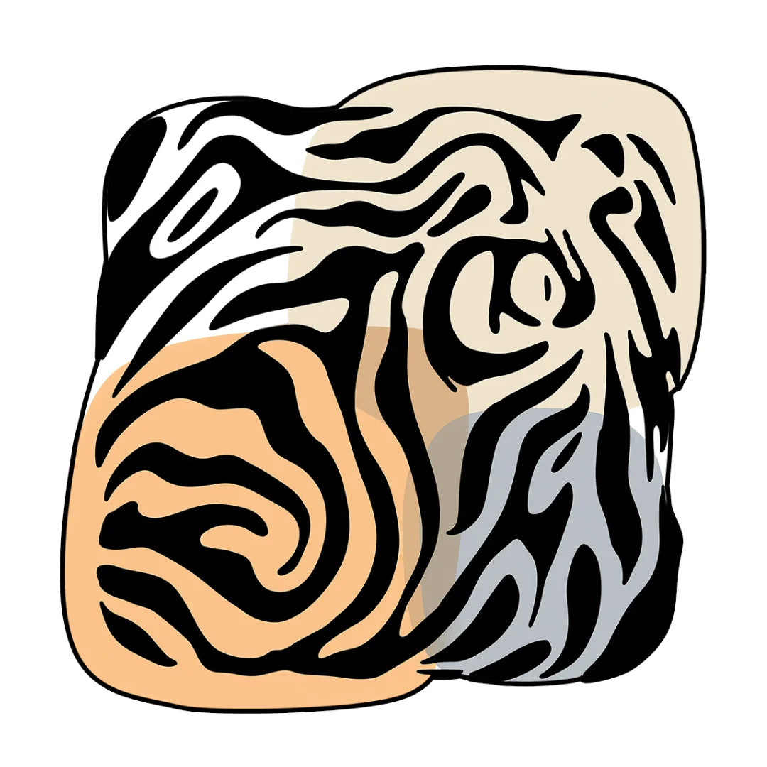 Irregular zebra rug bedroom