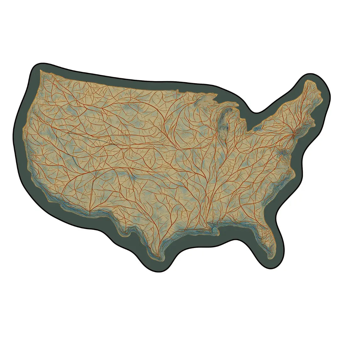Irregular USA map rug living room