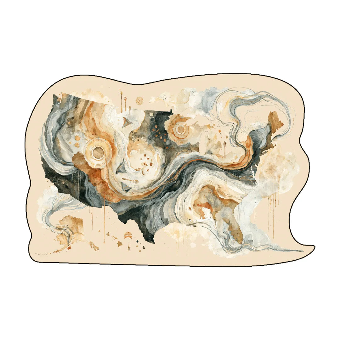 Irregular USA map rug coffee shop