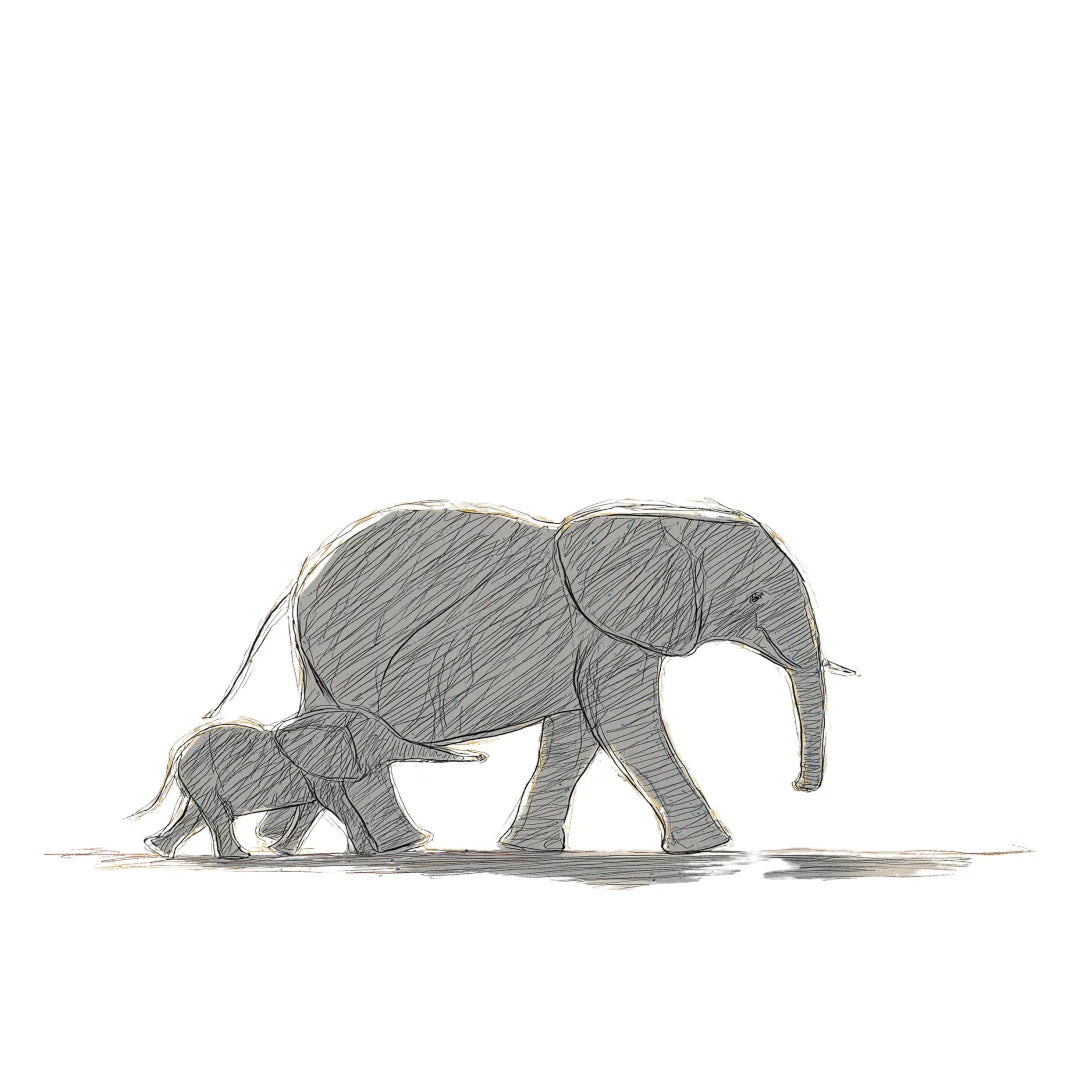 Minimal hand-drawn illustration of a mother elephant walking ahead of her baby, symbolizing protection, love, and quiet strength.