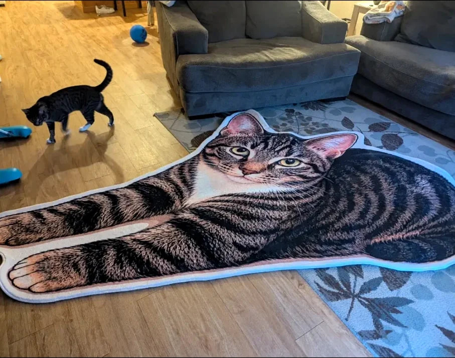 How Rainy the Cat Became a Custom 6×9 ft Rug | A TikTok Creator Story