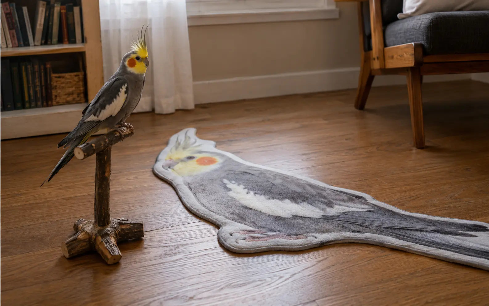 How to Design a Custom Bird-Shaped Rug From a Photo
