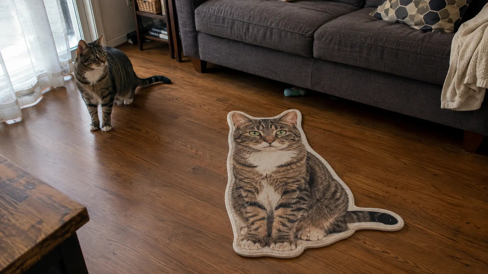 Custom Cat-Shaped Rug Ideas From Real Cat Photos