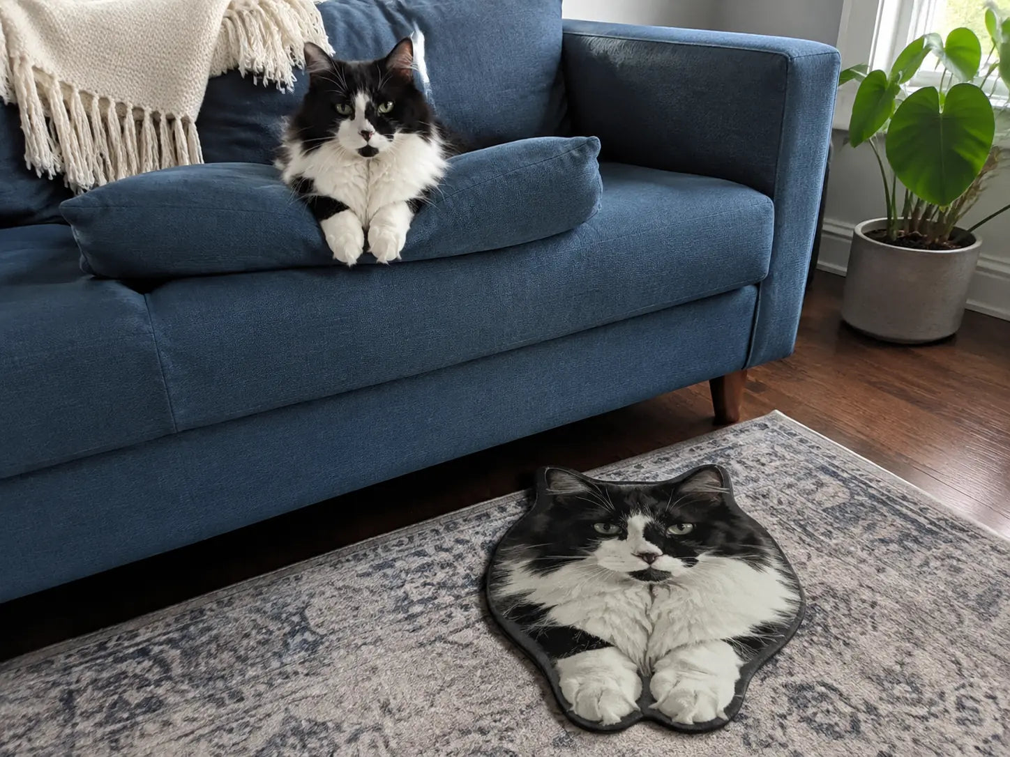 Face-Shaped vs. Full-Body Pet Rugs: Which Silhouette Fits Your Photo?