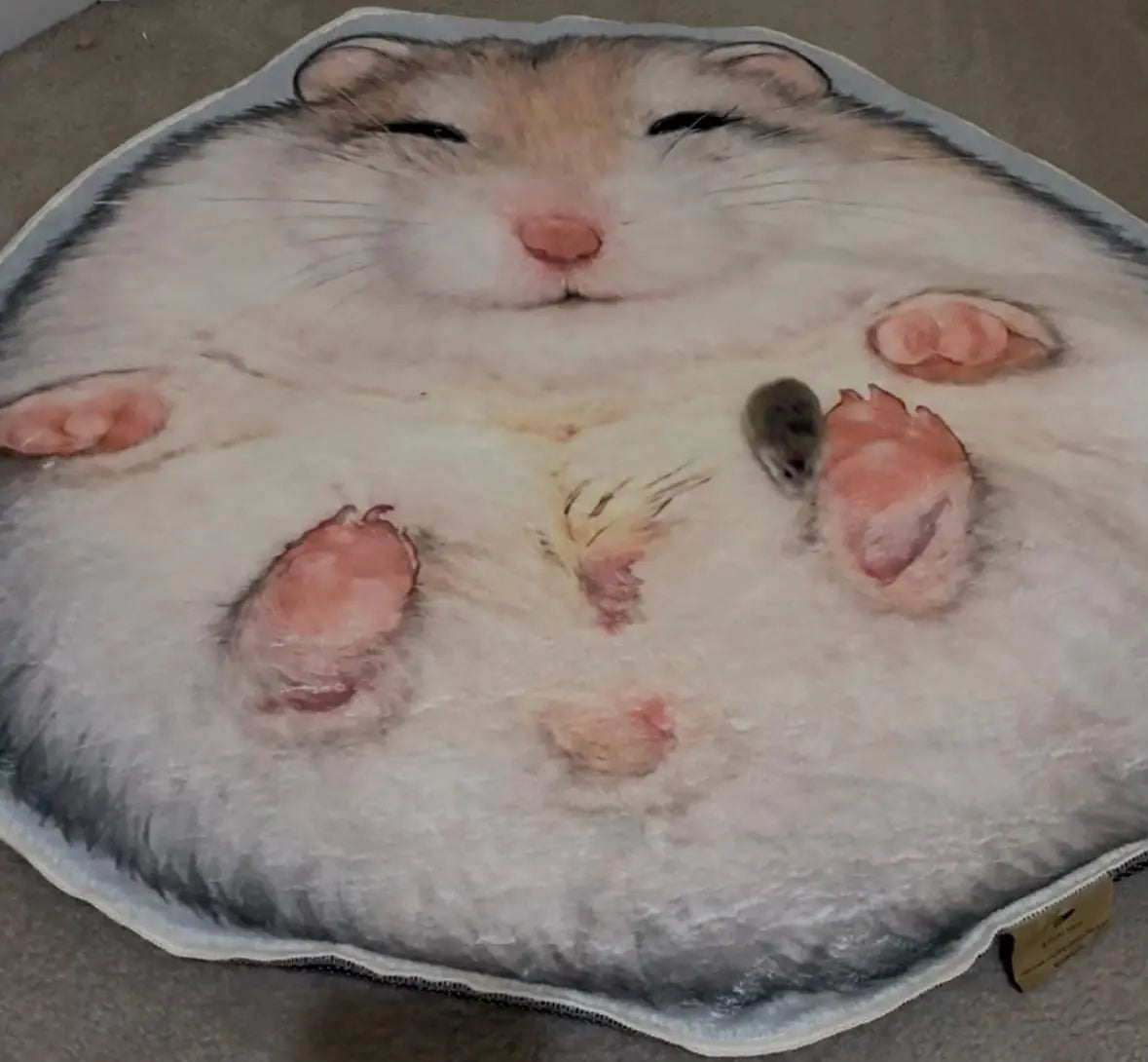 How Nugget's Favorite Pose Became a Custom Hamster Rug