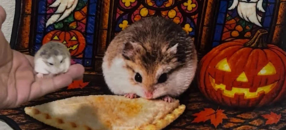 Nugget’s Halloween Hamster Wall Rug: From Snack Photo to Stained Glass