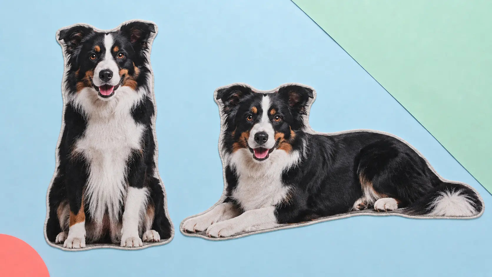 How Your Pet’s Pose Changes the Shape of a Custom Rug
