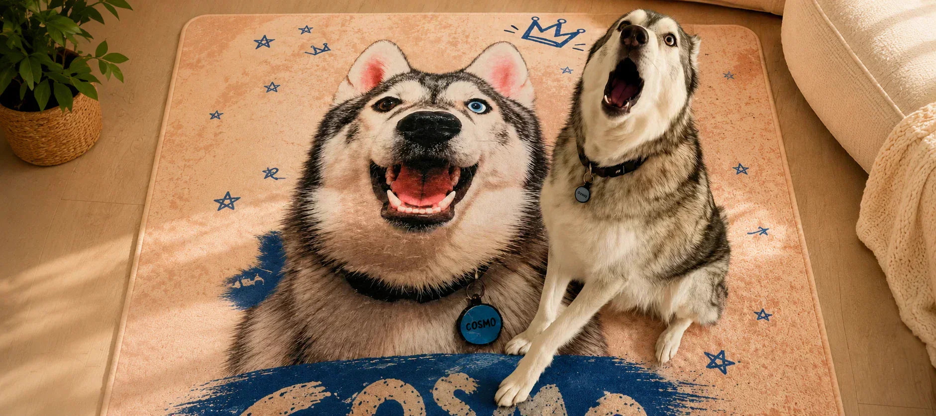 Cosmo’s Custom Pet Portrait Rug Story
