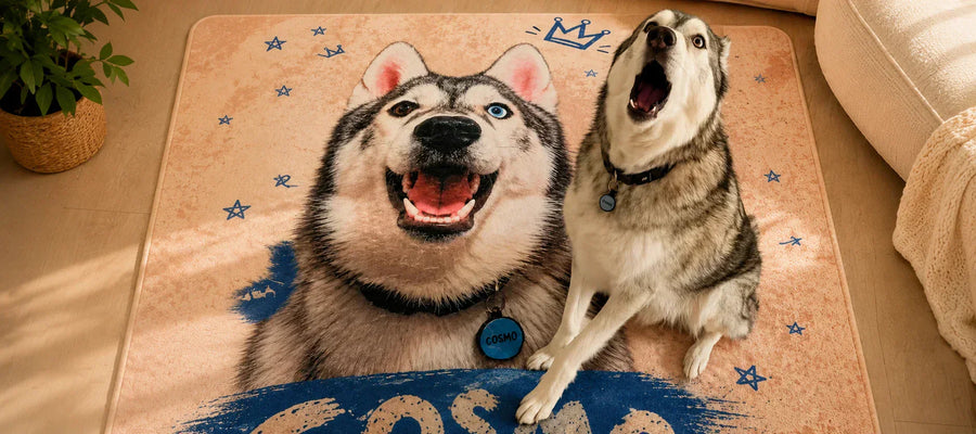Cosmo’s Custom Pet Portrait Rug Story