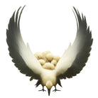 White bird with open wings carrying eggs on a white background