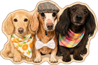 Walter, Sanibel & Friends Dachshund Trio Shaped Rug featuring three adorable dachshunds with colorful bandanas and a flat cap