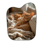 Irregular cat rug bedroom