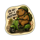 Irregular capybara style rug living room