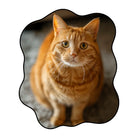 Irregular cat rug living room