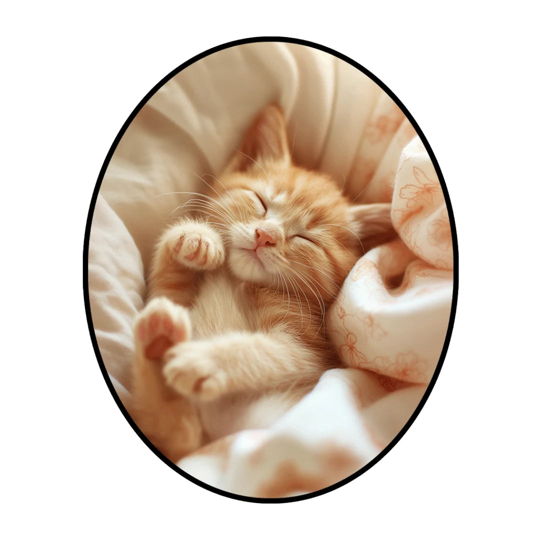 Irregular cat rug bedroom