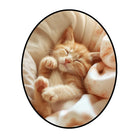Irregular cat rug bedroom