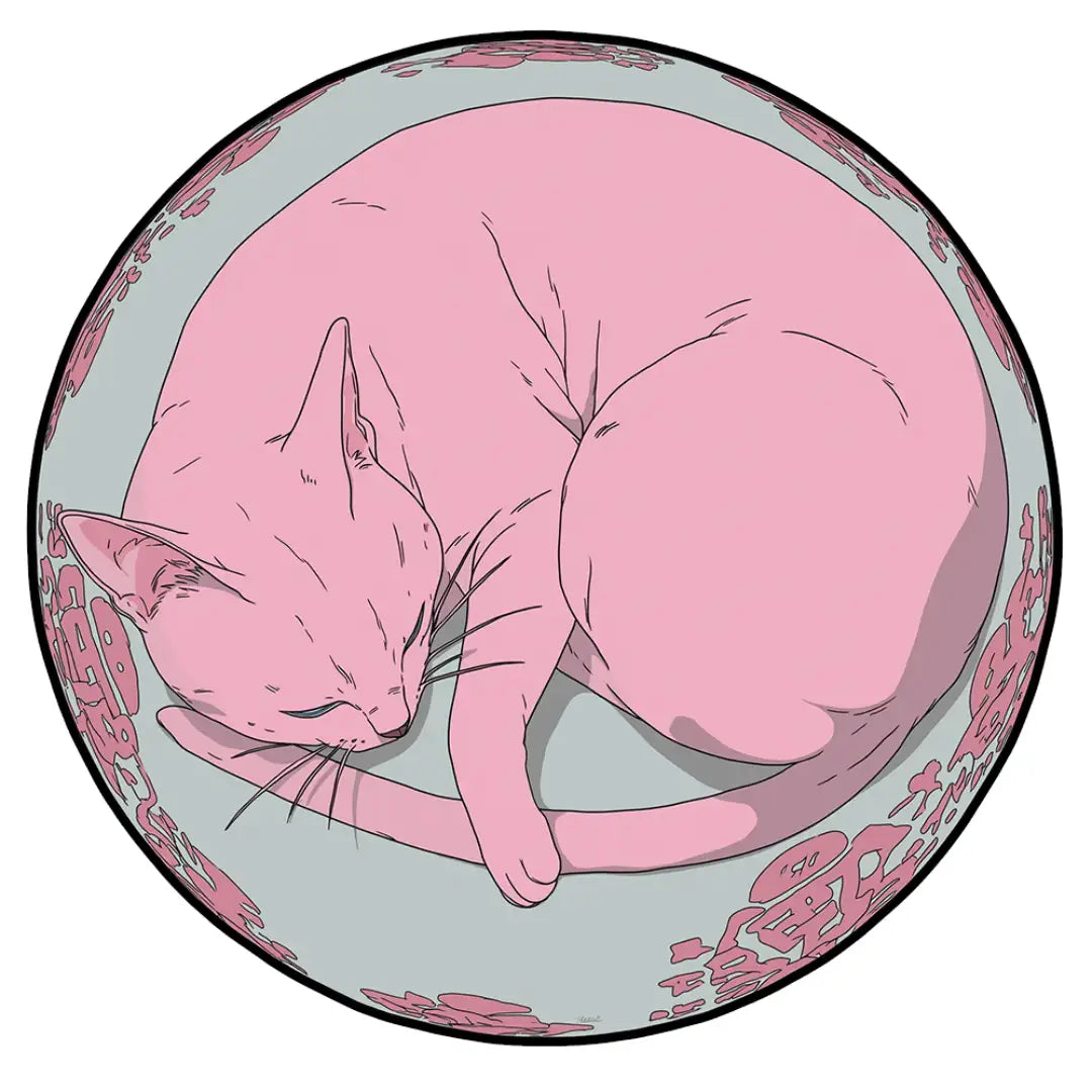 pink sleeping cat rug bedroom