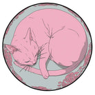 pink sleeping cat rug bedroom