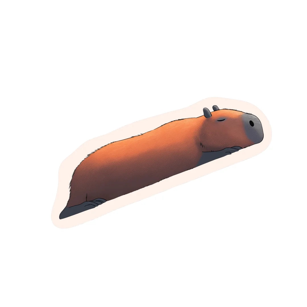 Irregular capybara rug kitchen