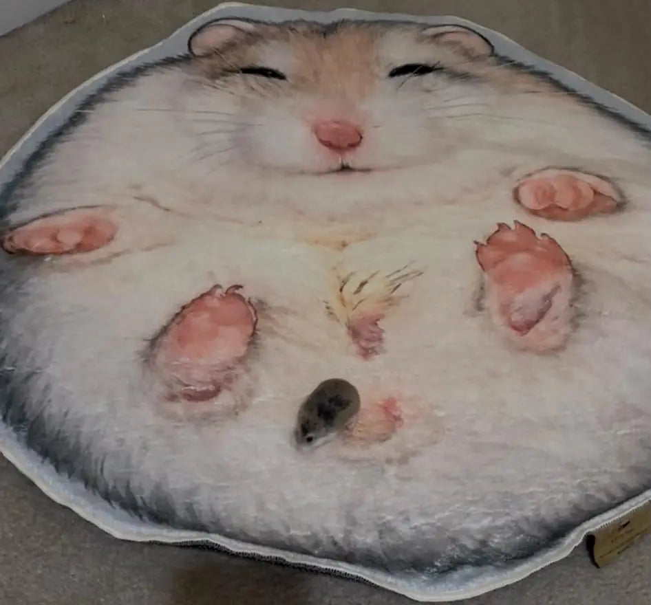 Finished custom hamster rug displayed next to Nugget the hamster