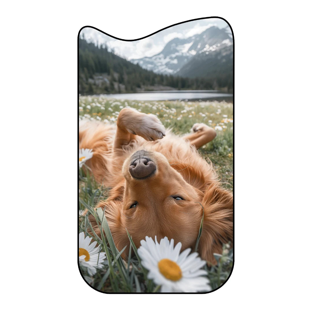 Irregular dog runner rug entryway