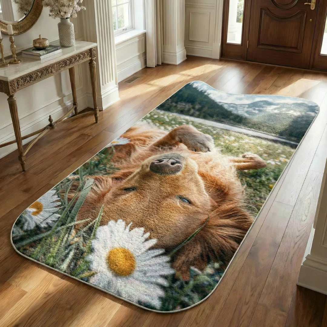 Irregular dog runner rug entryway