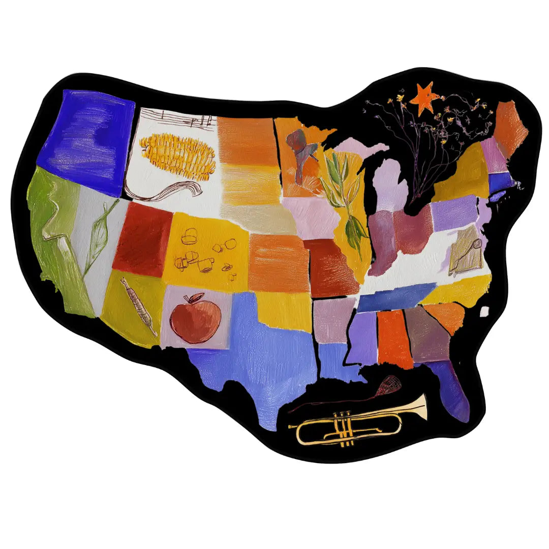 Irregular usa map rug patio balcony