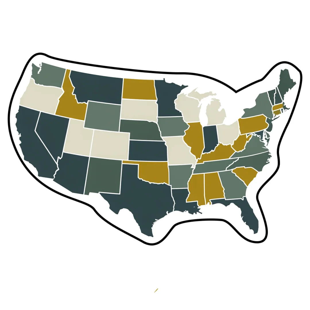 Irregular USA map rug kids room