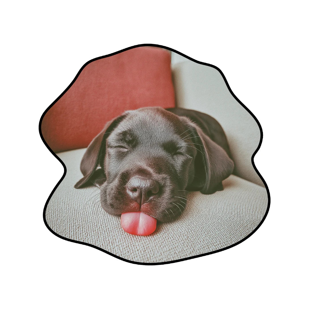 Irregular dog rug living room