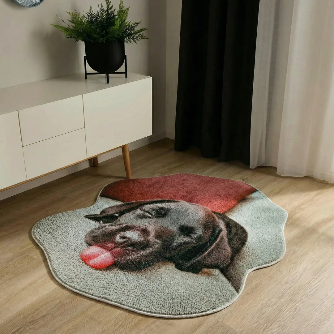 Irregular dog rug living room