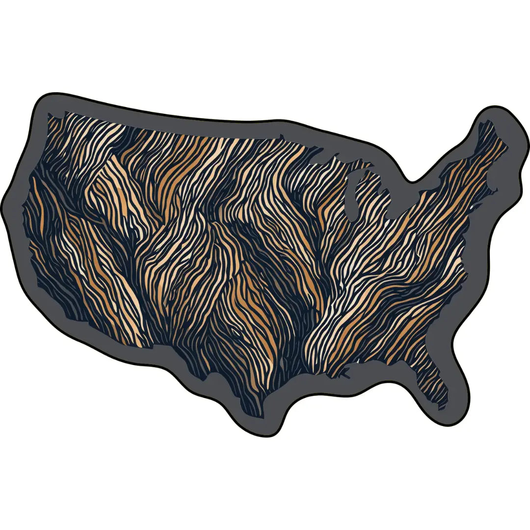 Irregular USA map rug living room