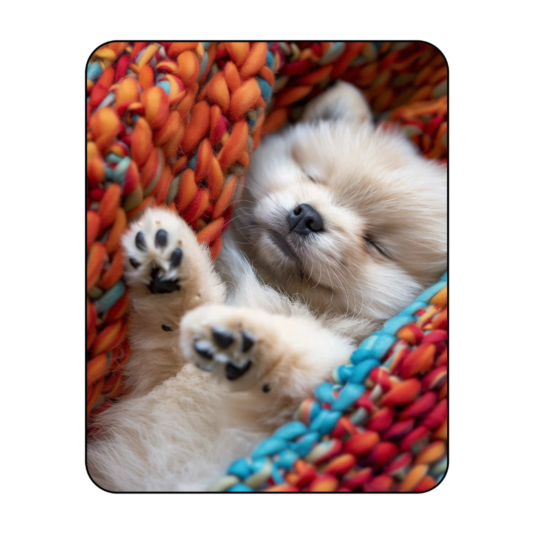 Sleepy puppy rug bedroom