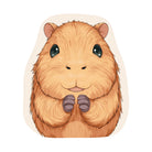 Irregular capybara rug patio balcony