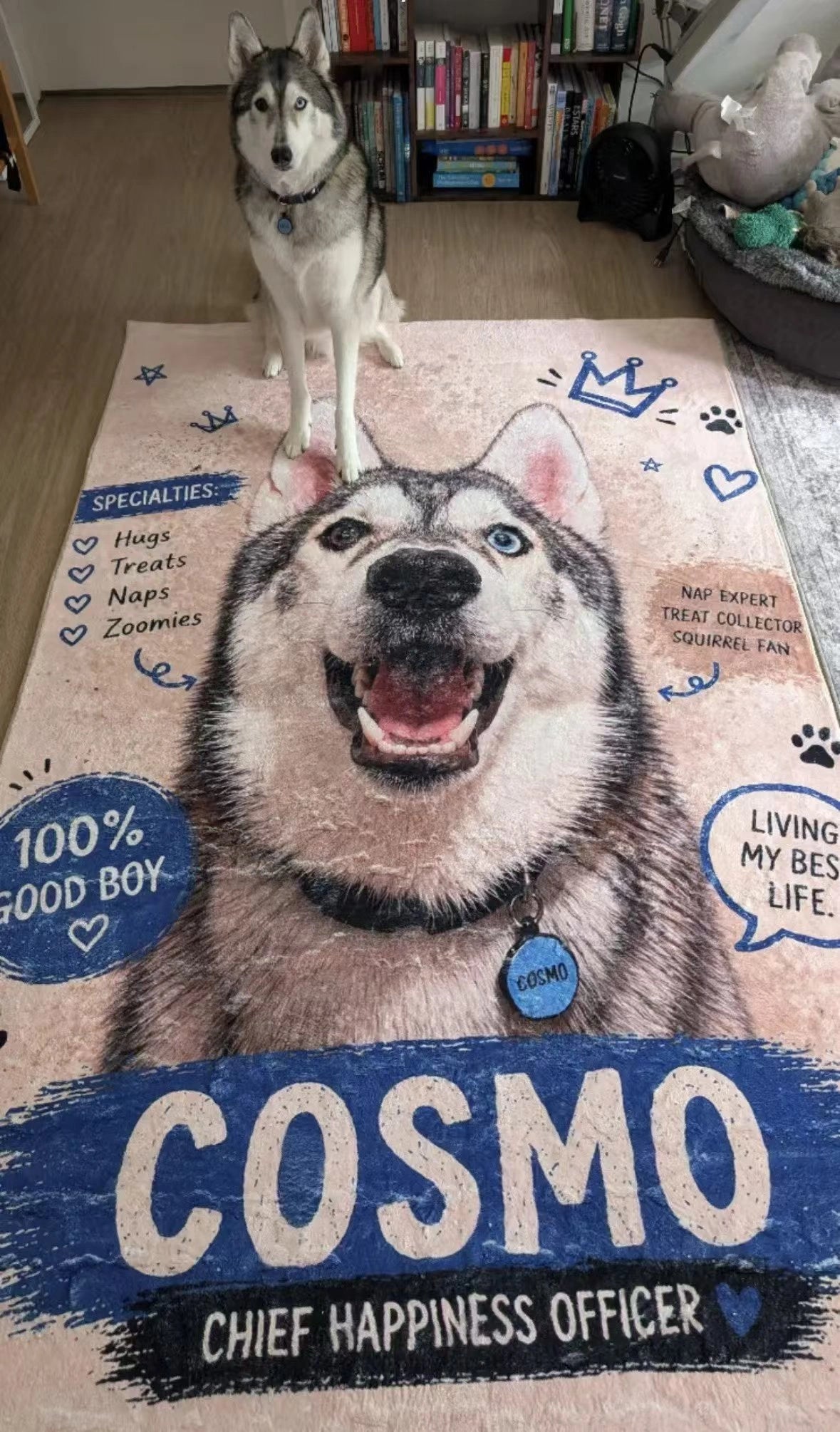 Finished custom pet photo rug made from customer image