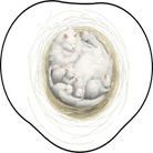 Close-up view of The Shape of Comfort rug artwork showing a white cat family curled together in a nest, symbolizing warmth, belonging, and comfort.